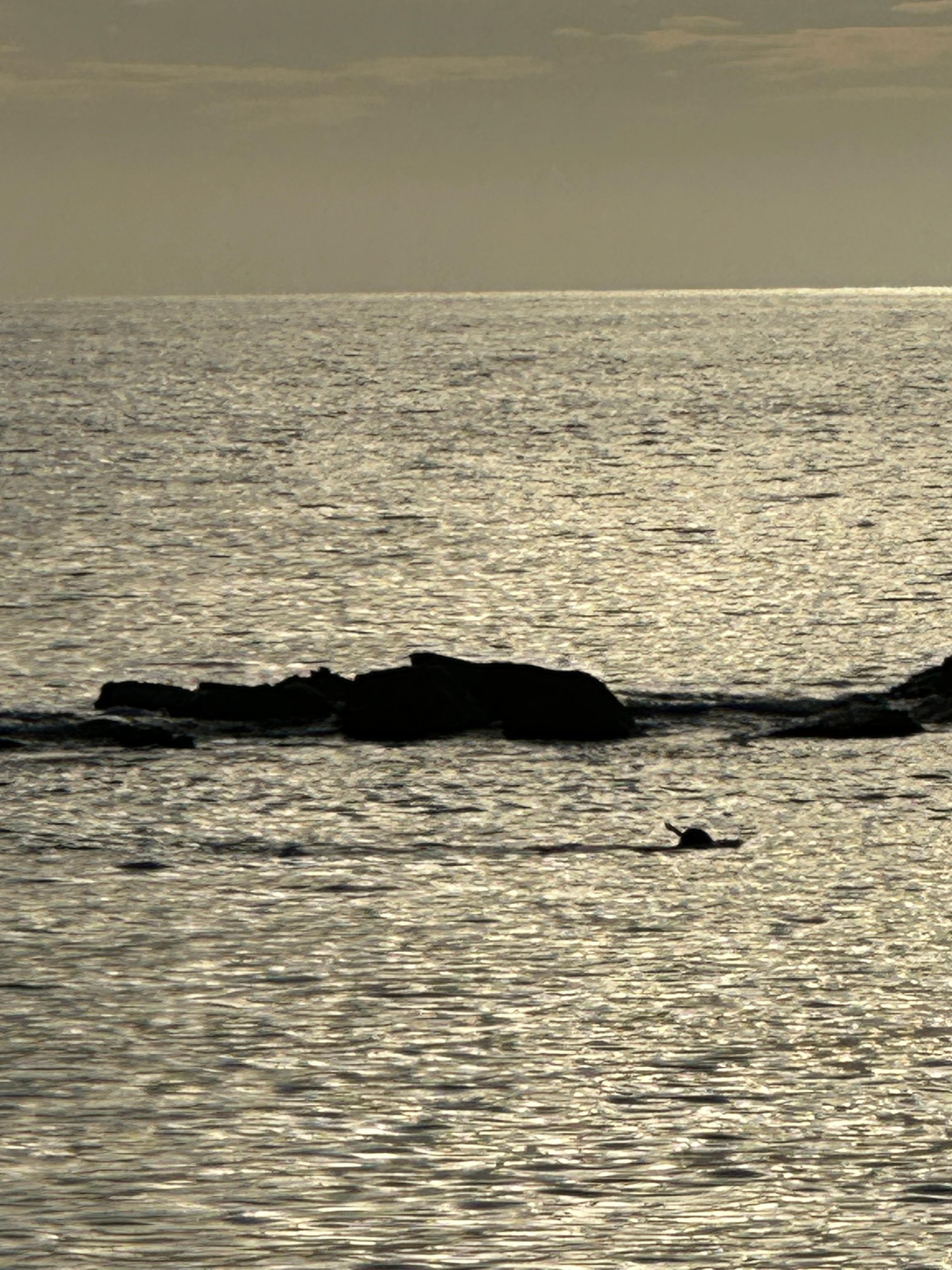 Snorkeling on private beach