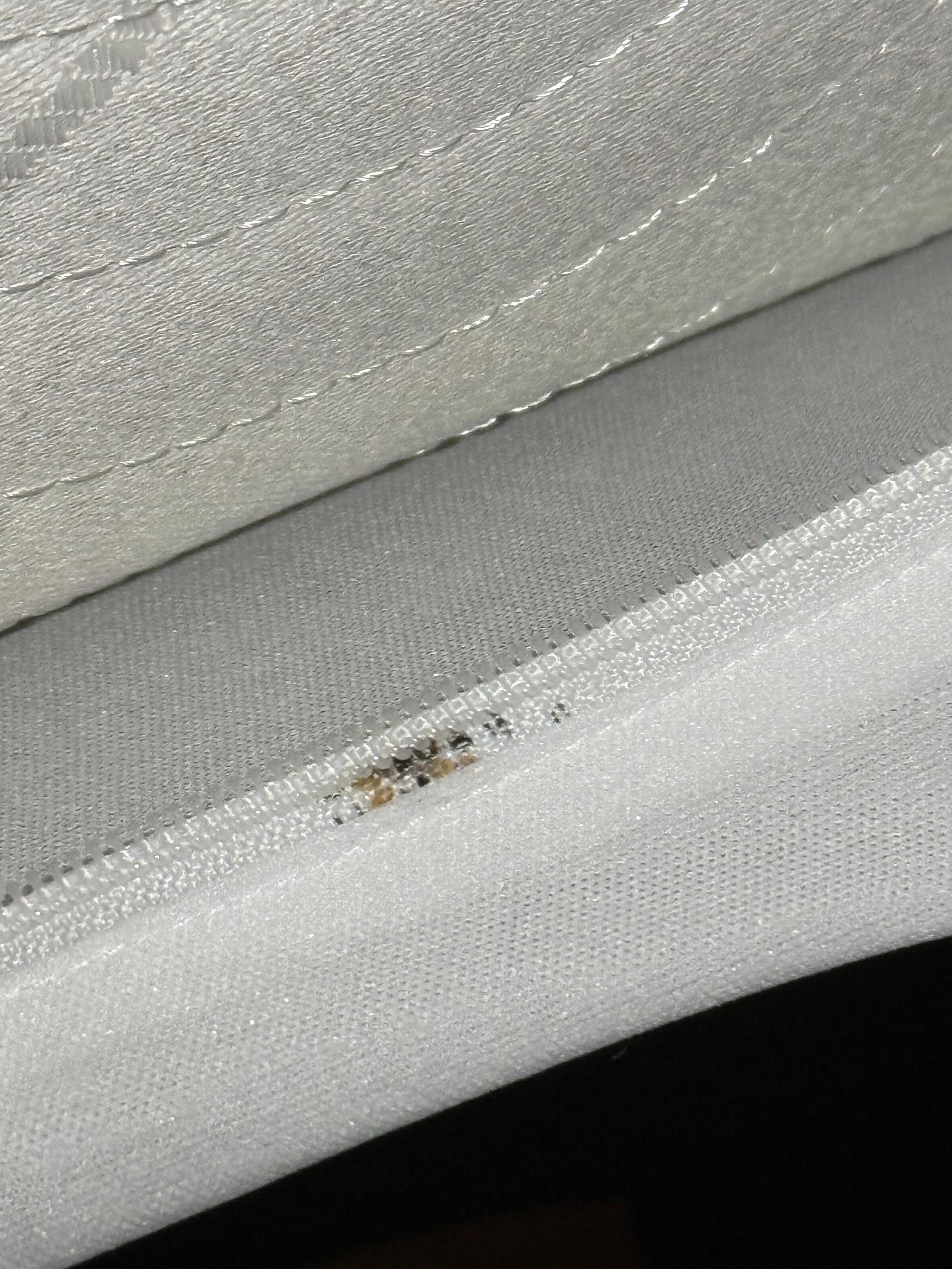 These are the bed bug droppings and exoskeletons left behind from shedding. 