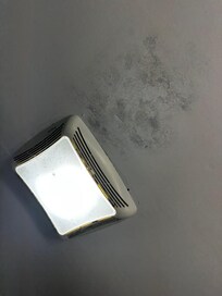 Peeling ceilings and occluded vents with large amounts of settled dust. Just very unhygienic. Gross.