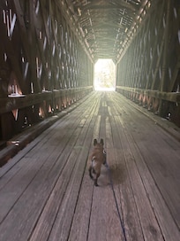 Pier Bridge