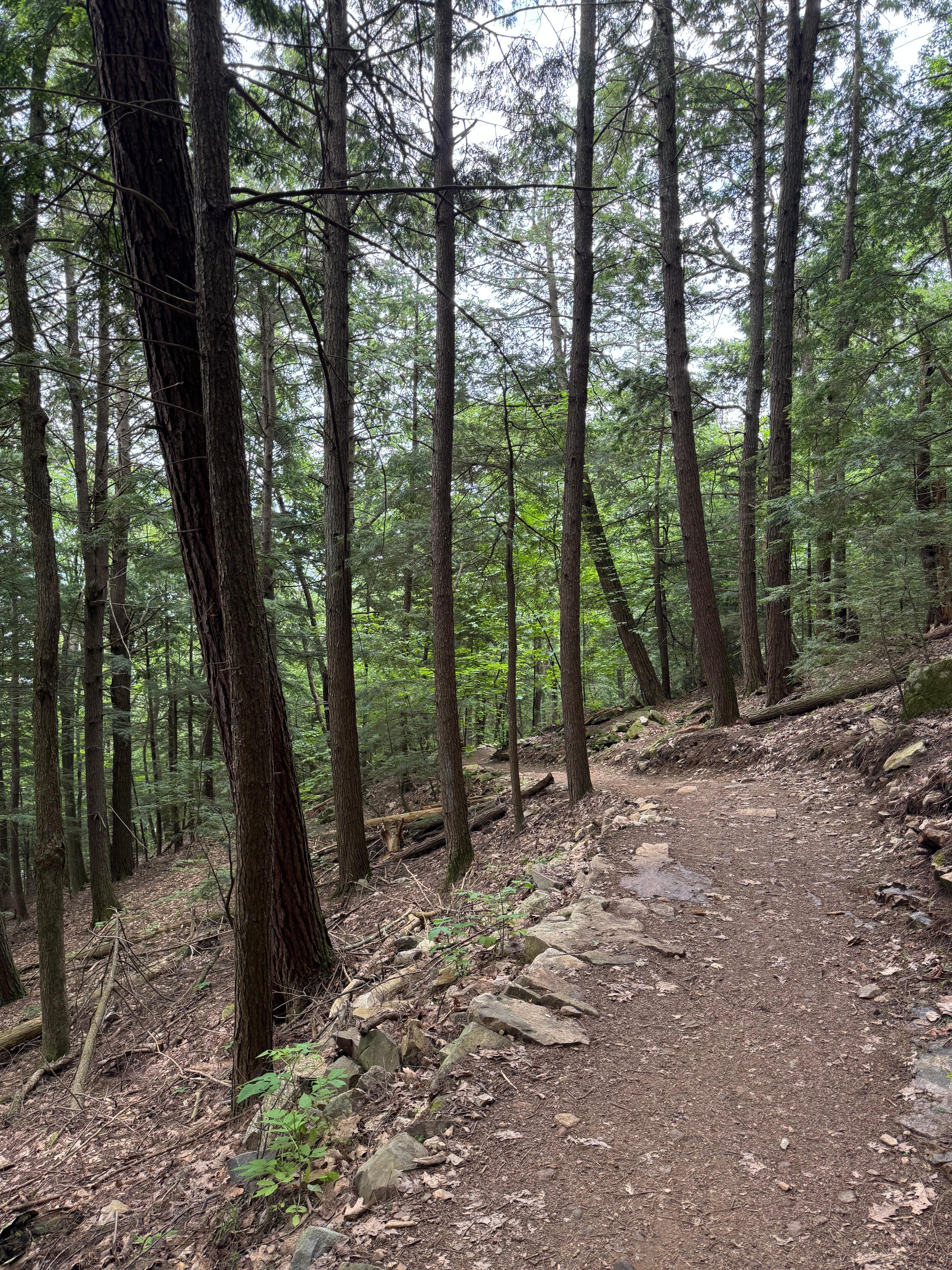 Nearby Lockes Hill hiking trail