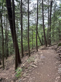 Nearby Lockes Hill hiking trail