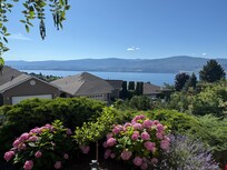View from the patio.