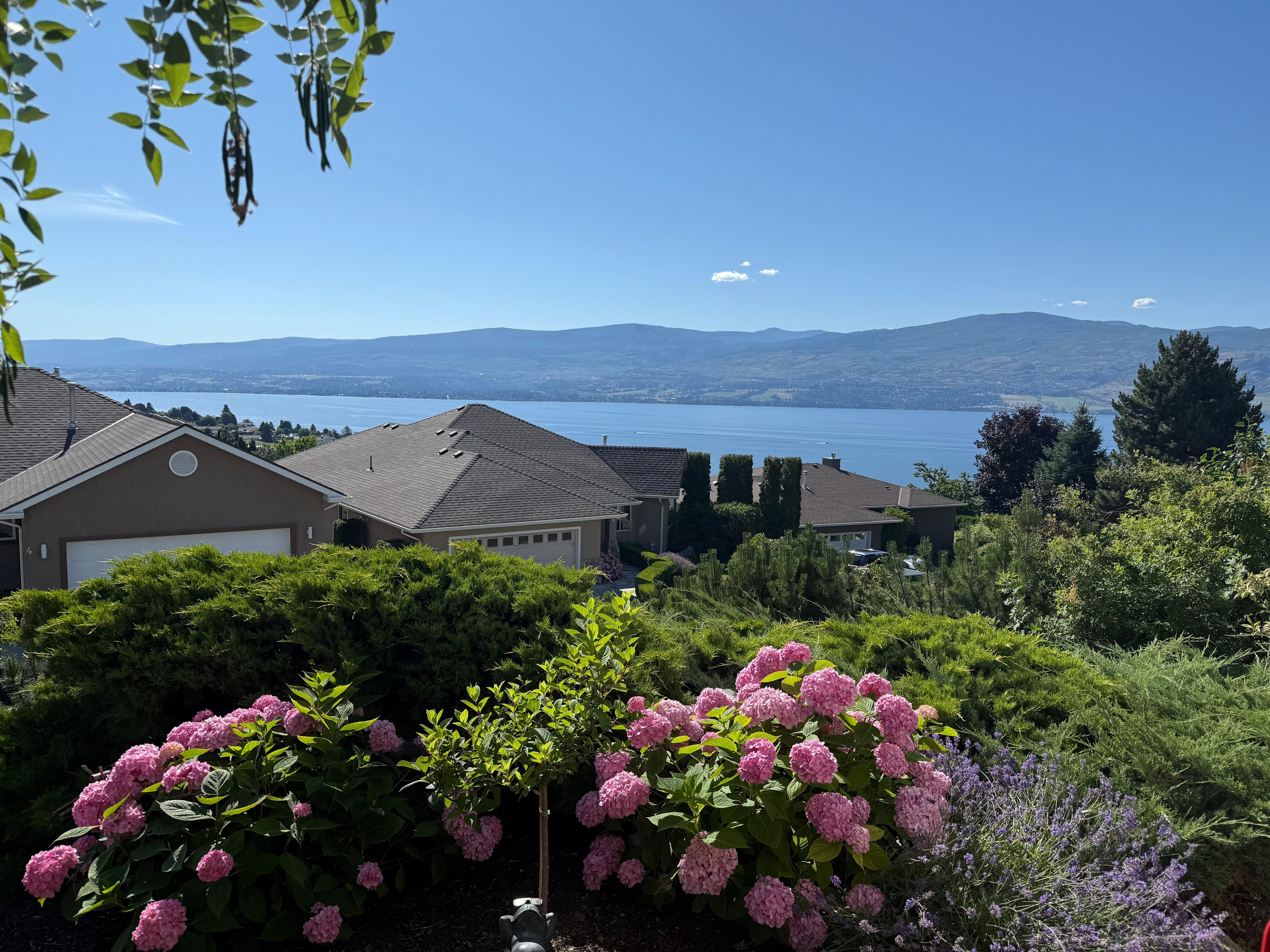 View from the patio.