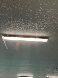 Swimming pool ceiling