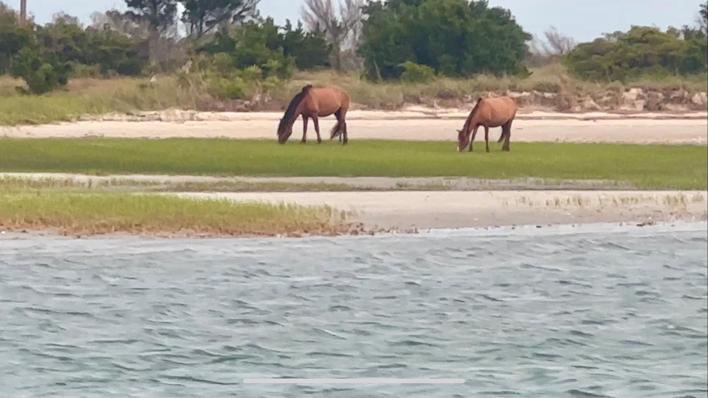Shackleford Banks