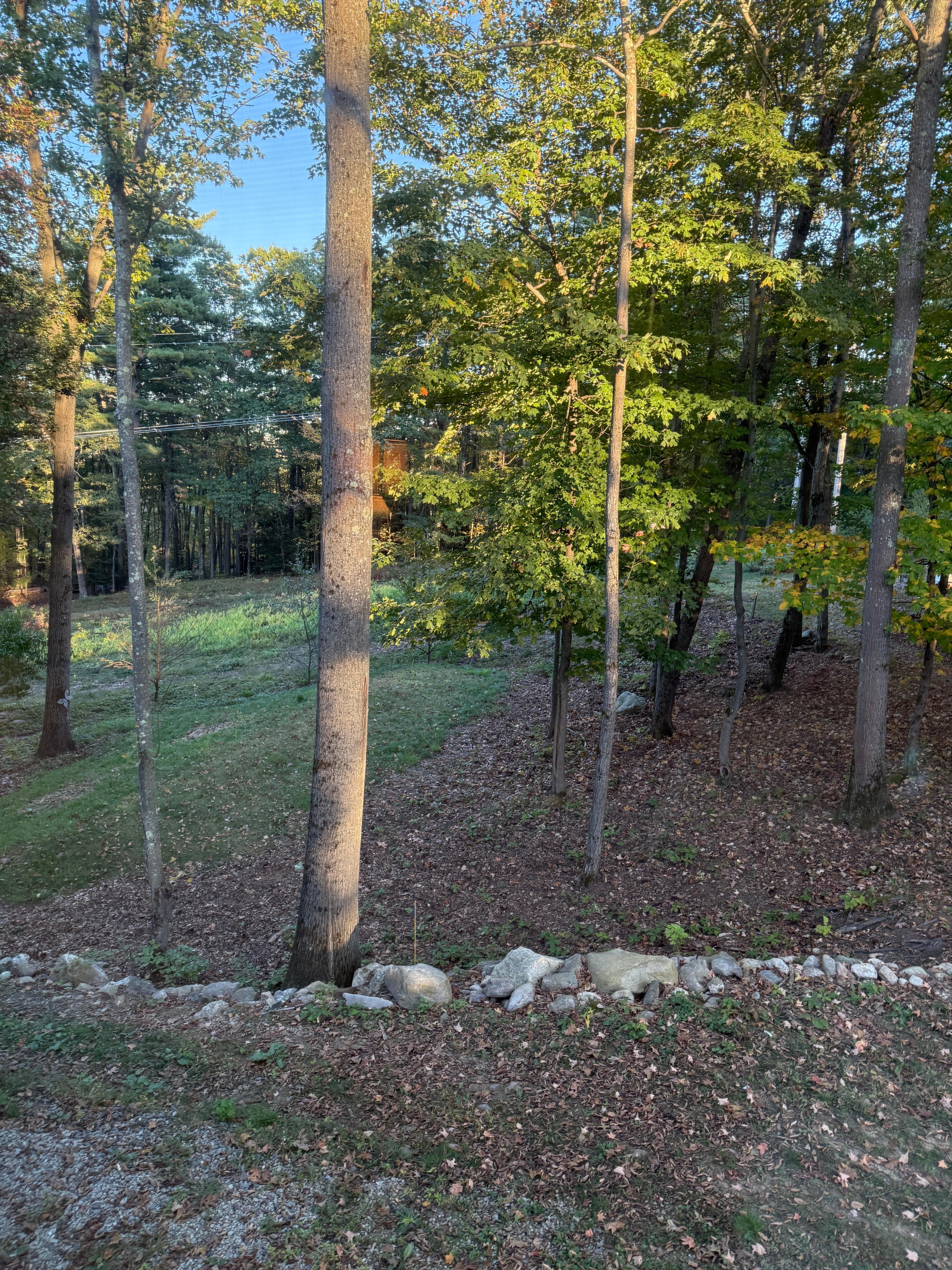 View from the driveway