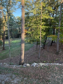 View from the driveway