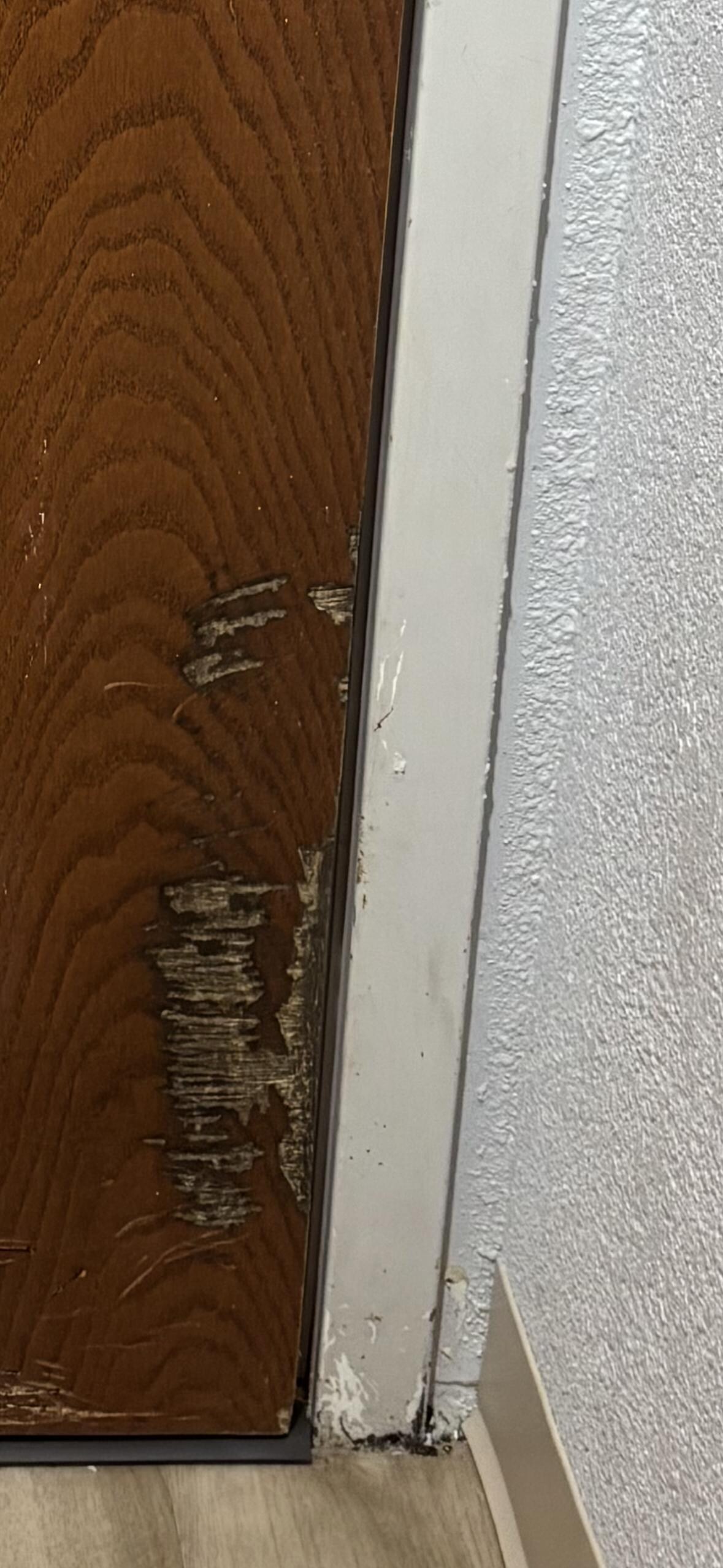 Room door