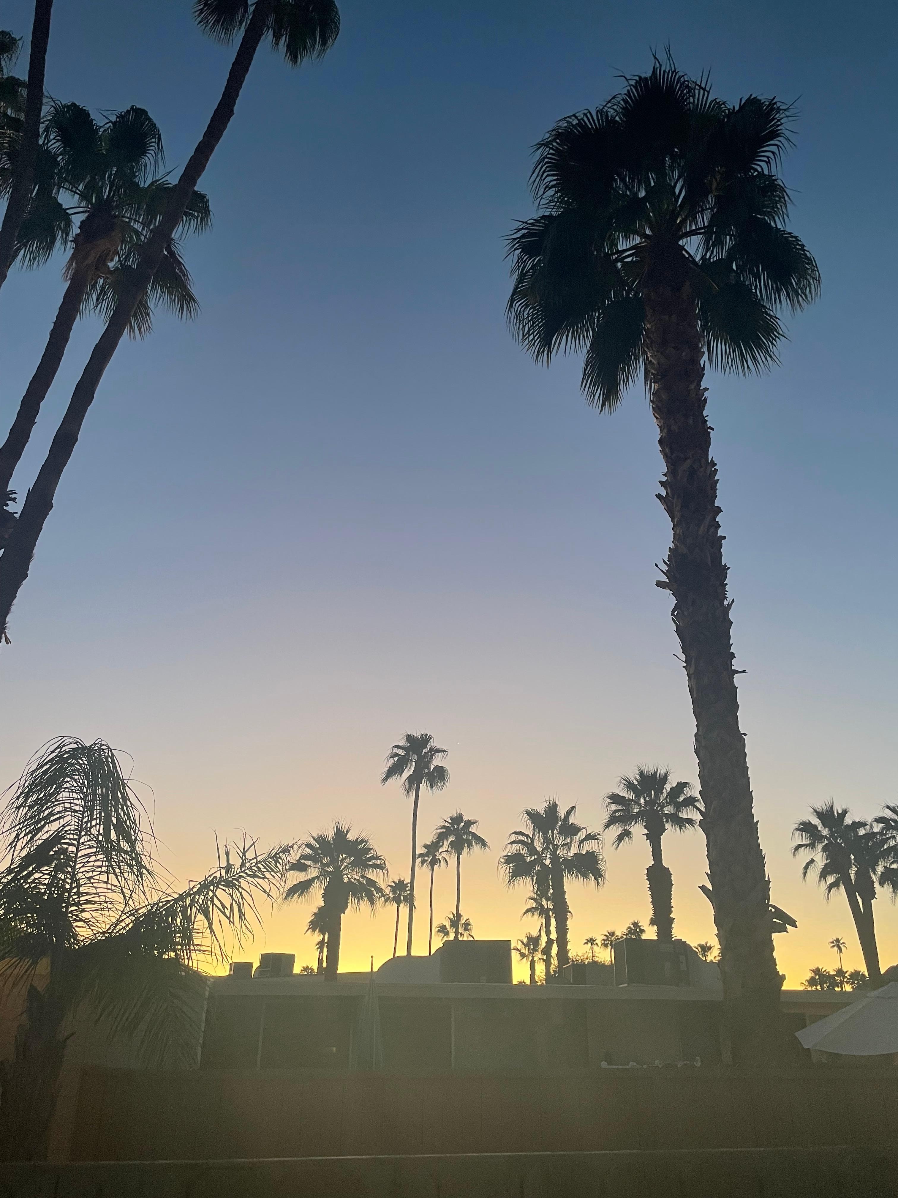 Sunrise over the desert