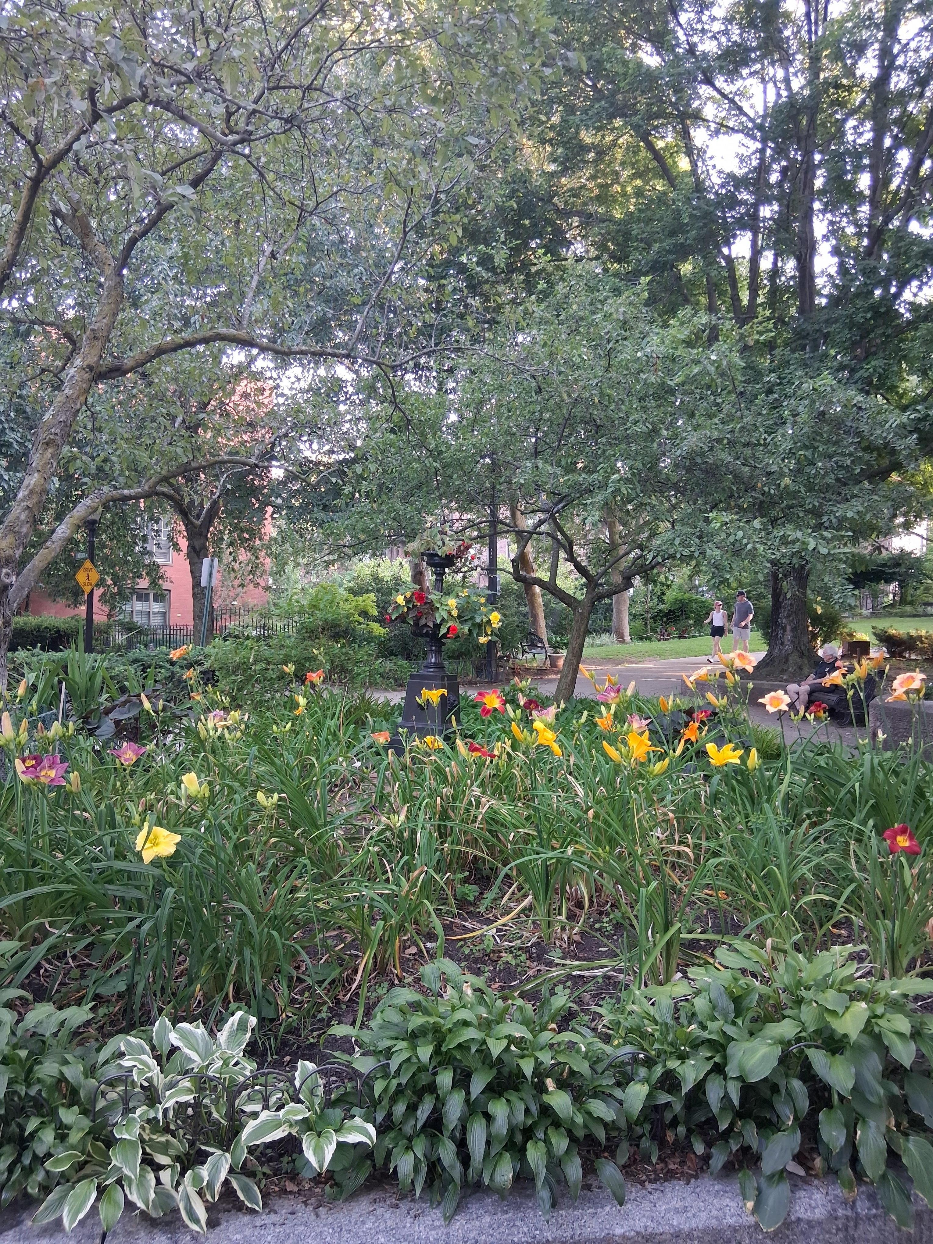 Arboretum