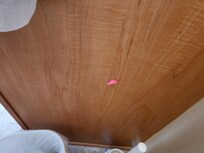 Gum on side of cabinet