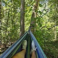 Hammock in perfect spot