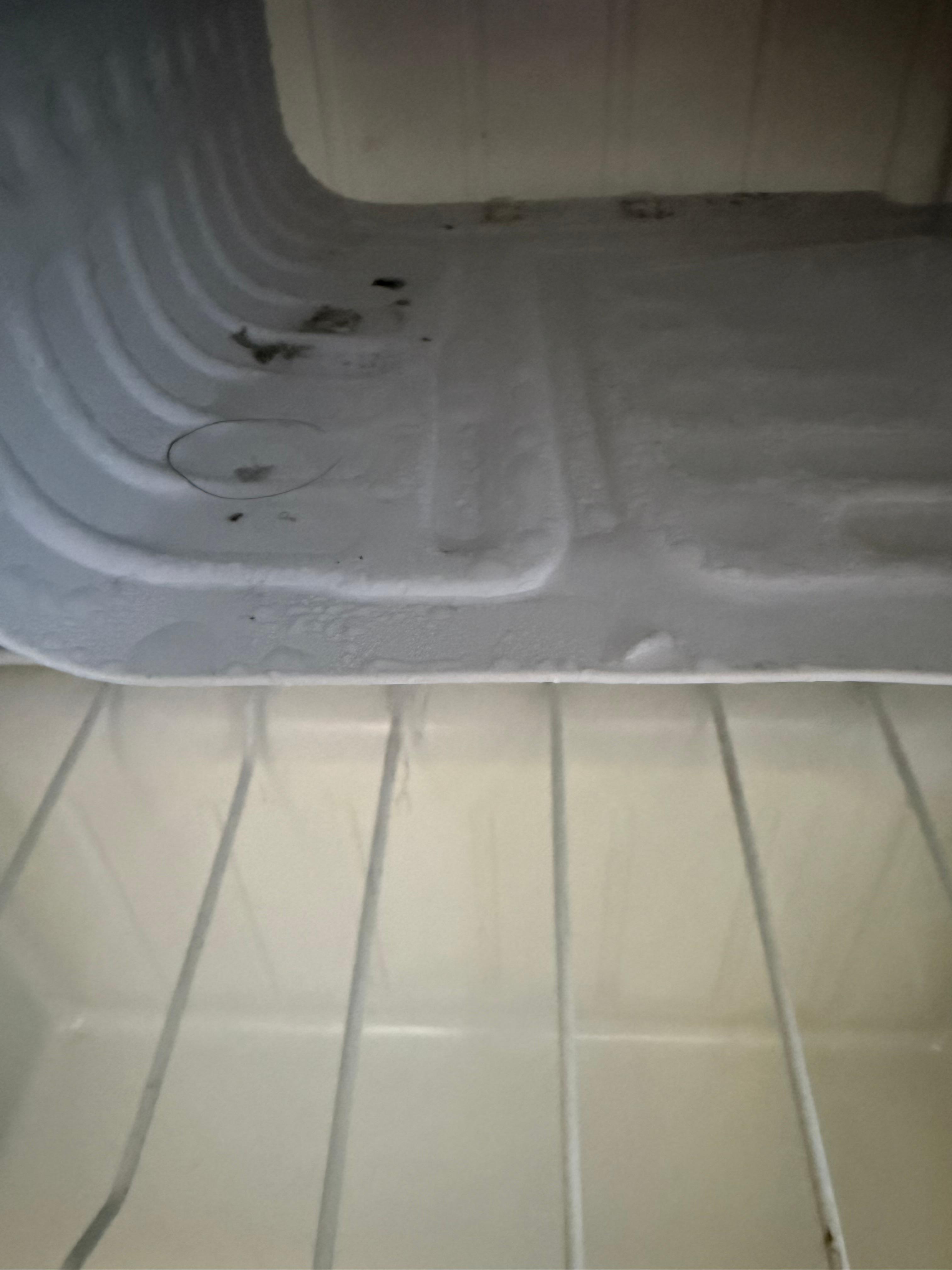 Mold in the Freezer part of the Refrigerator