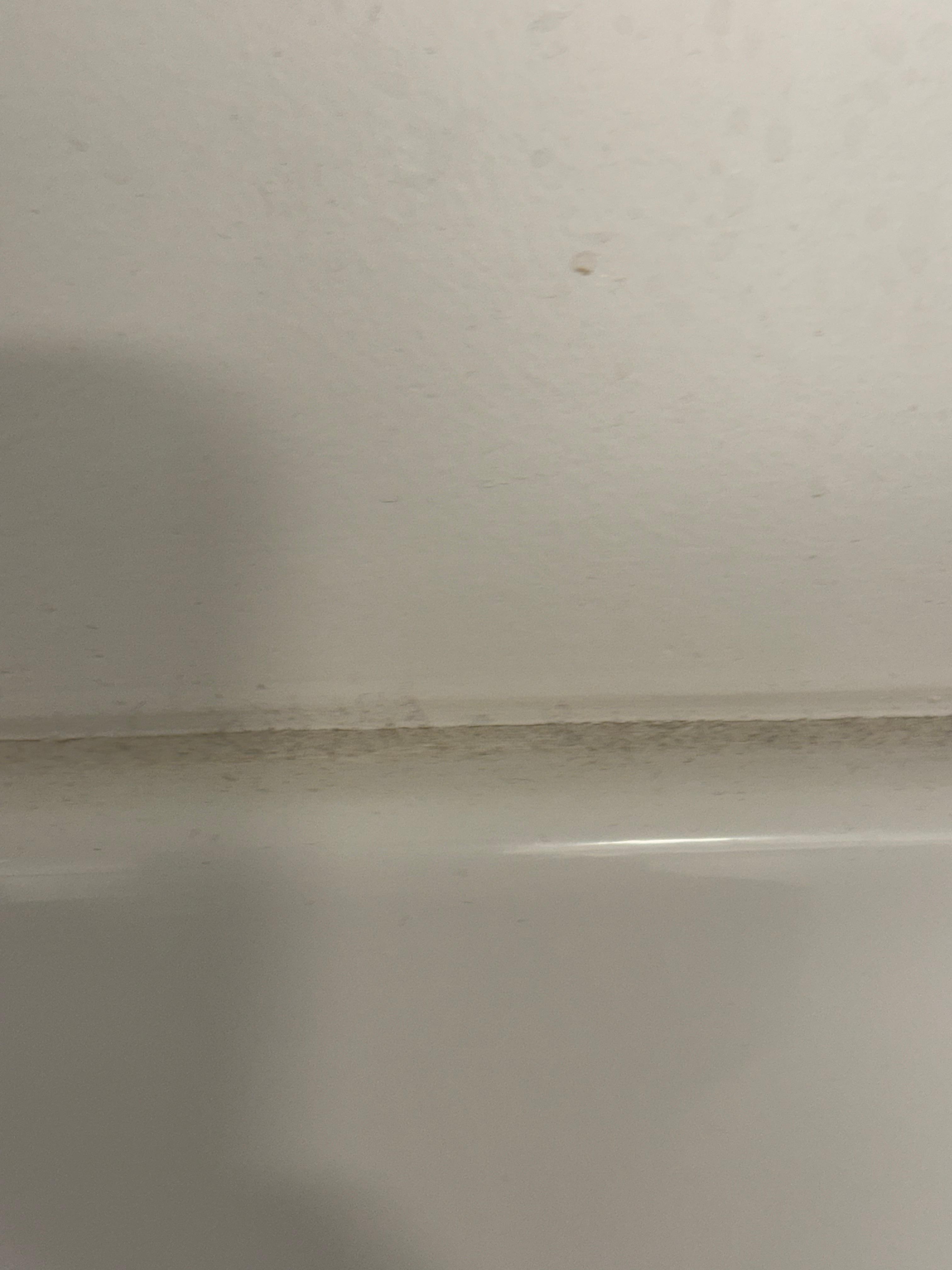 Shower has dust , how does a shower have dust in it???