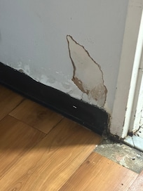 Cracks in the wall and missing tiles where creatures hide.