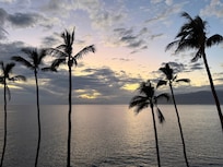 Sunset on the lanai