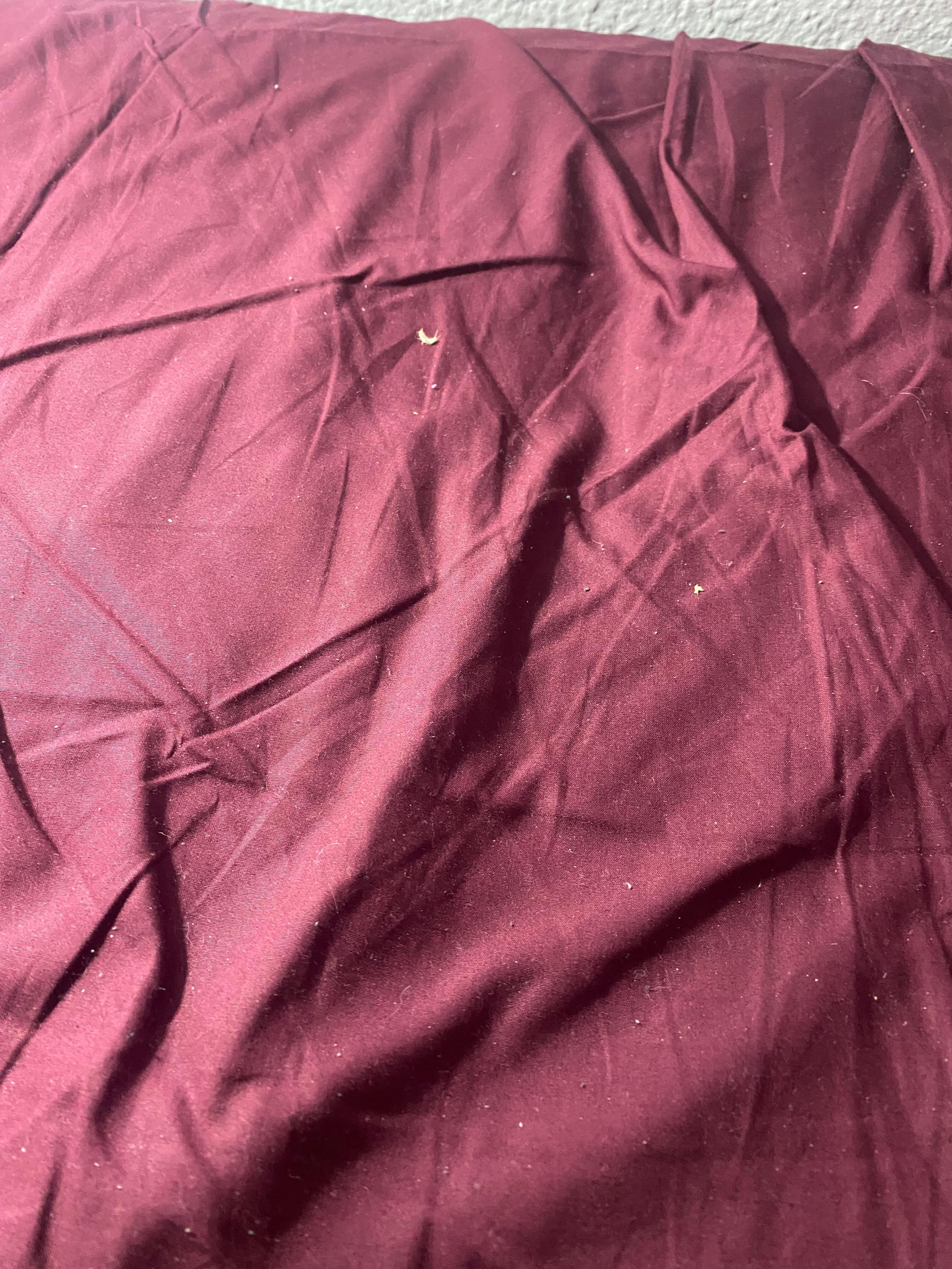 Smelly and infested bed sheets
