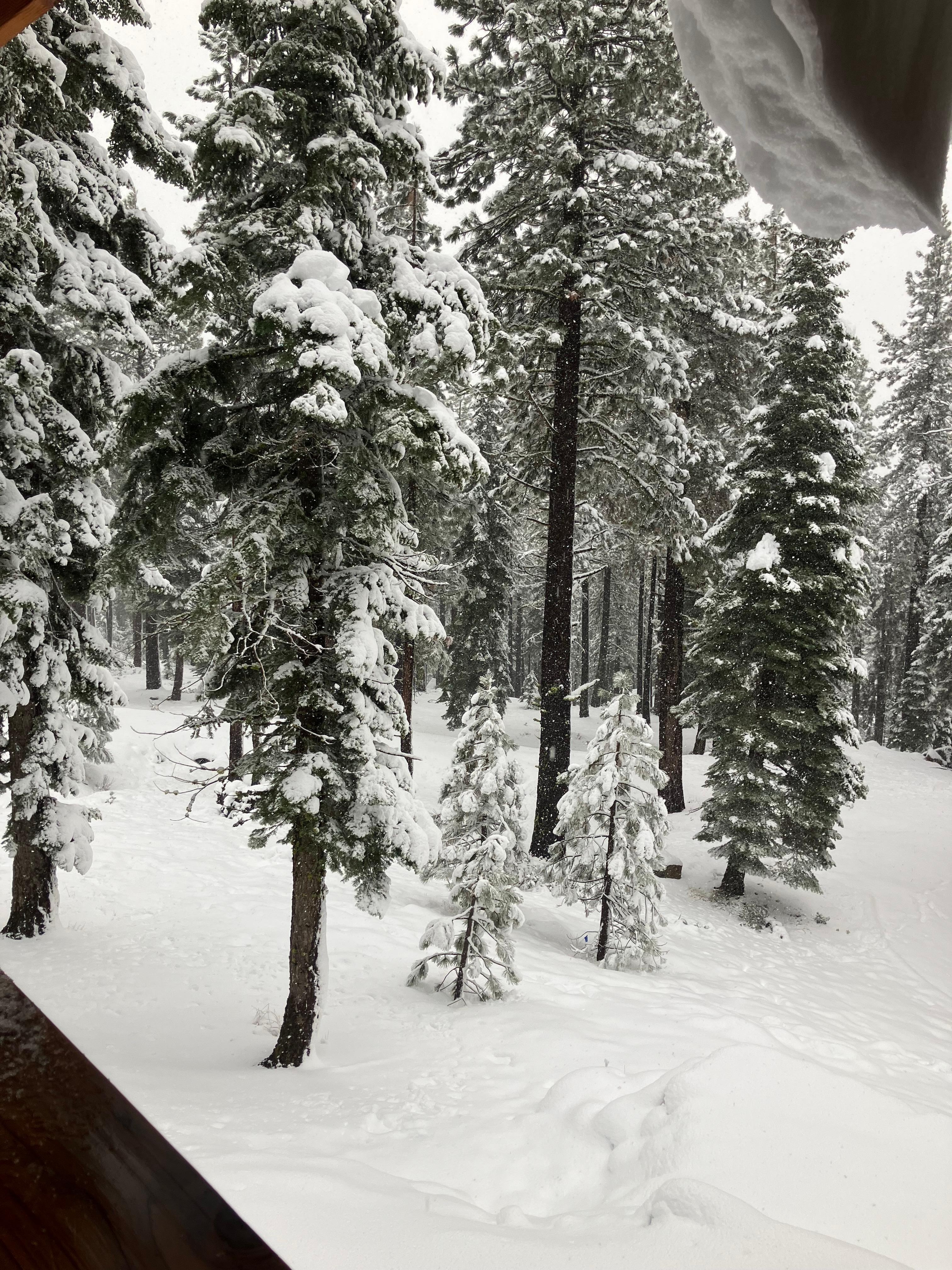 First significant snowfall of the season.