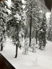 First significant snowfall of the season.