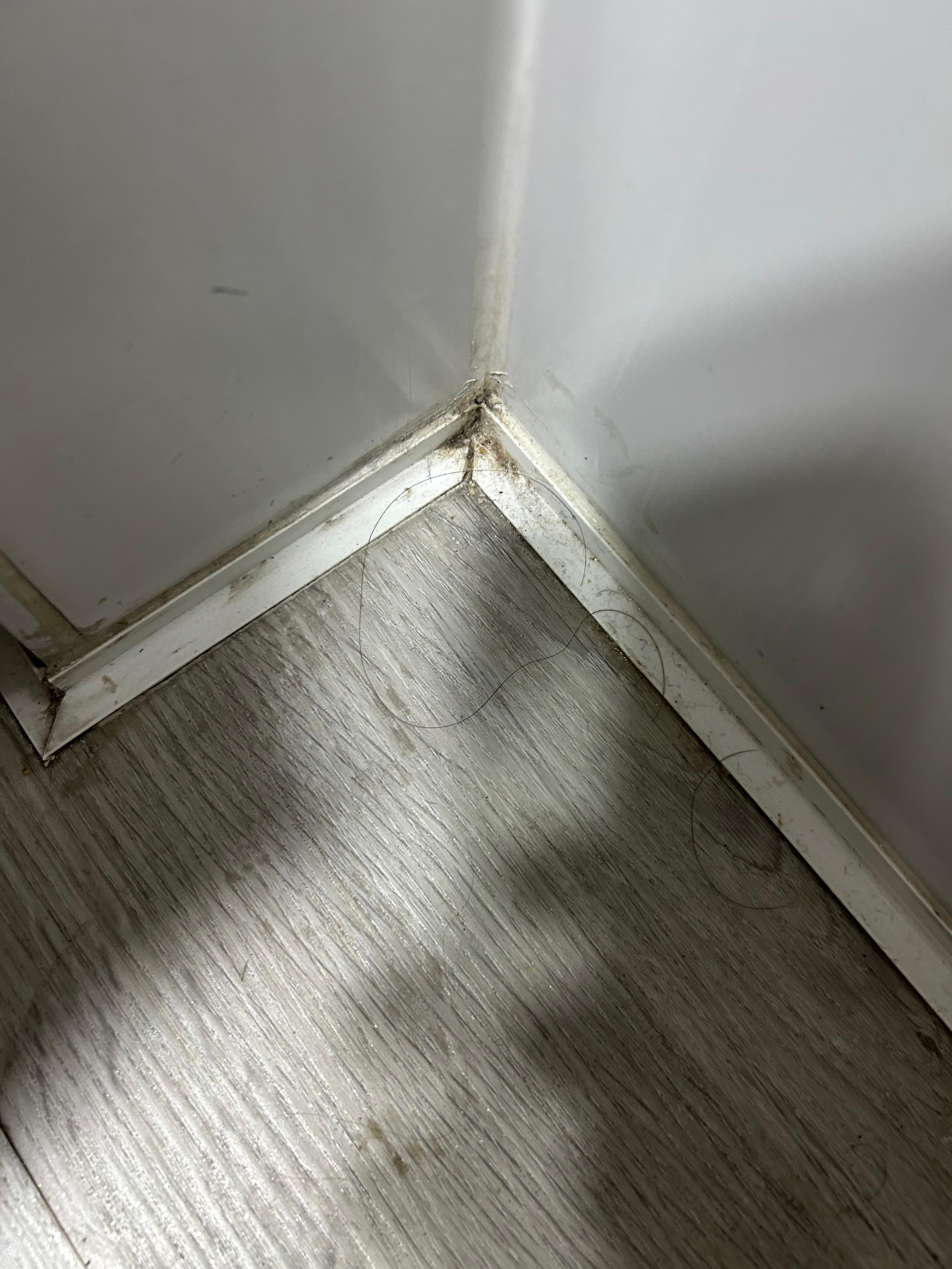 Dirt in corners of bathroom floor.
Hair was all over floor and bathroom sink