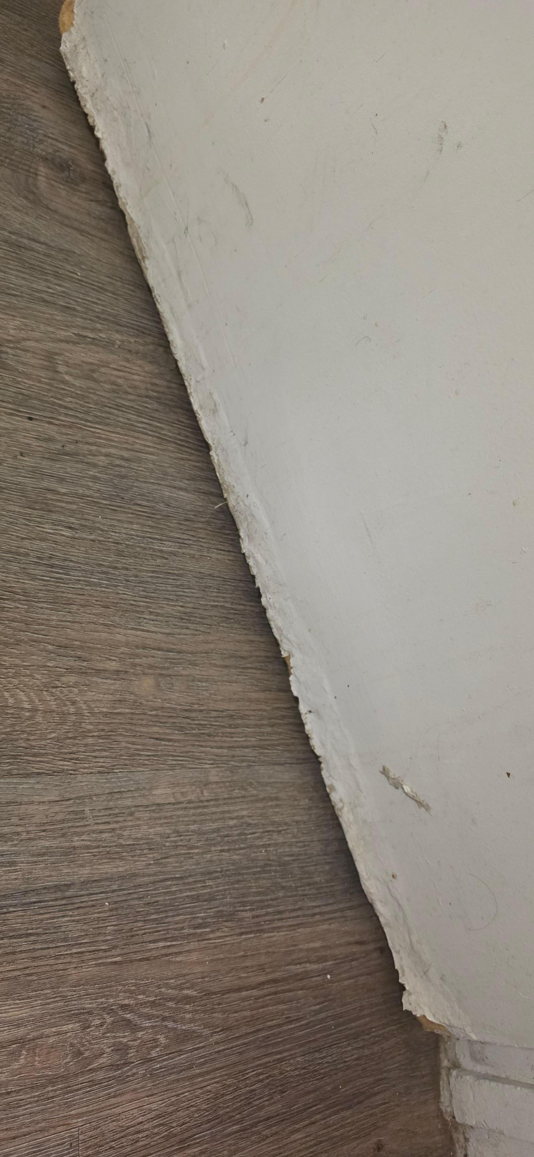 Moldy bathroom door