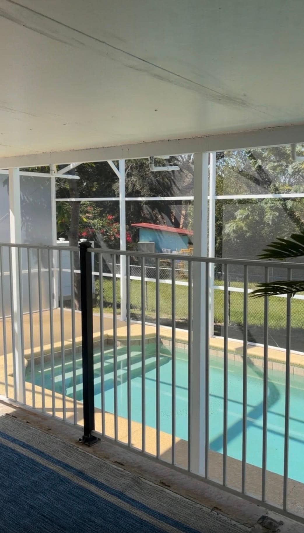 Pool is beautiful and such a great backyard to hang out 