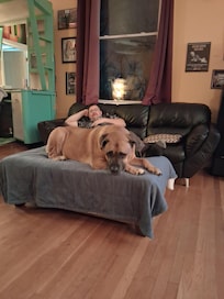 Ziva found her happy place. She could keep her eye on all of us!