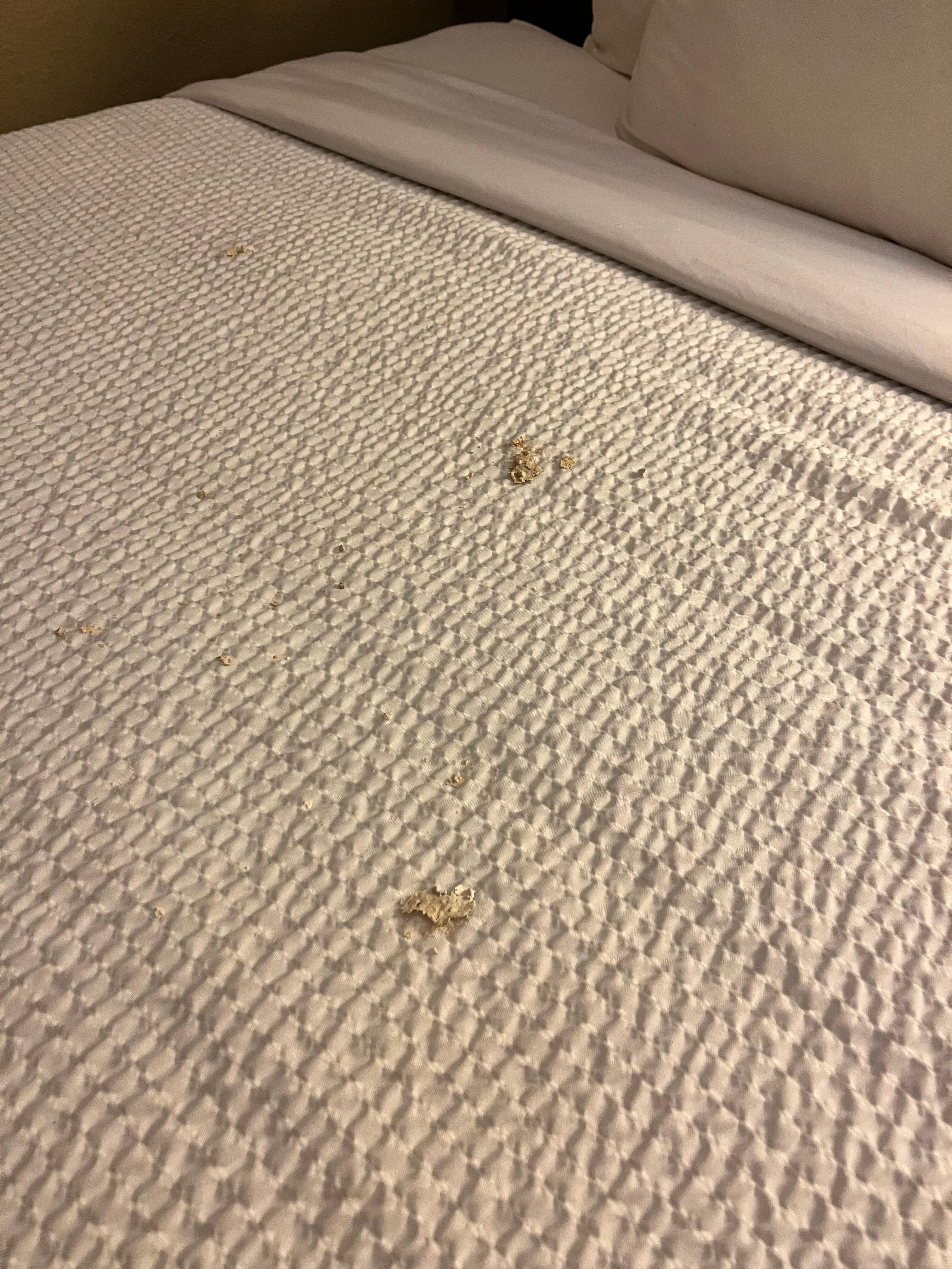 The parts of the ceiling that we walked into on the comforter. We looked up and saw what’s in the next few pictures.