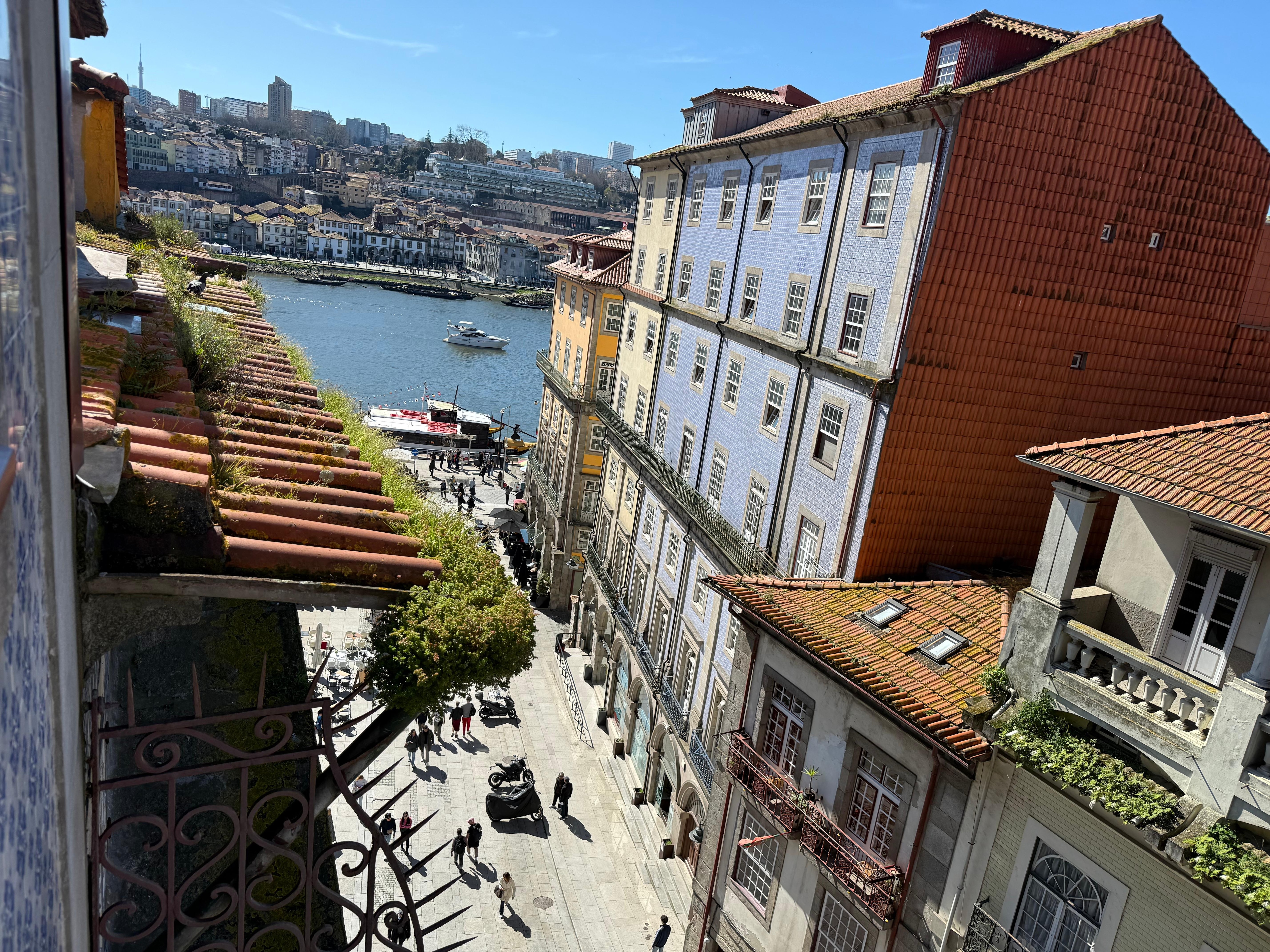 looking out the window 