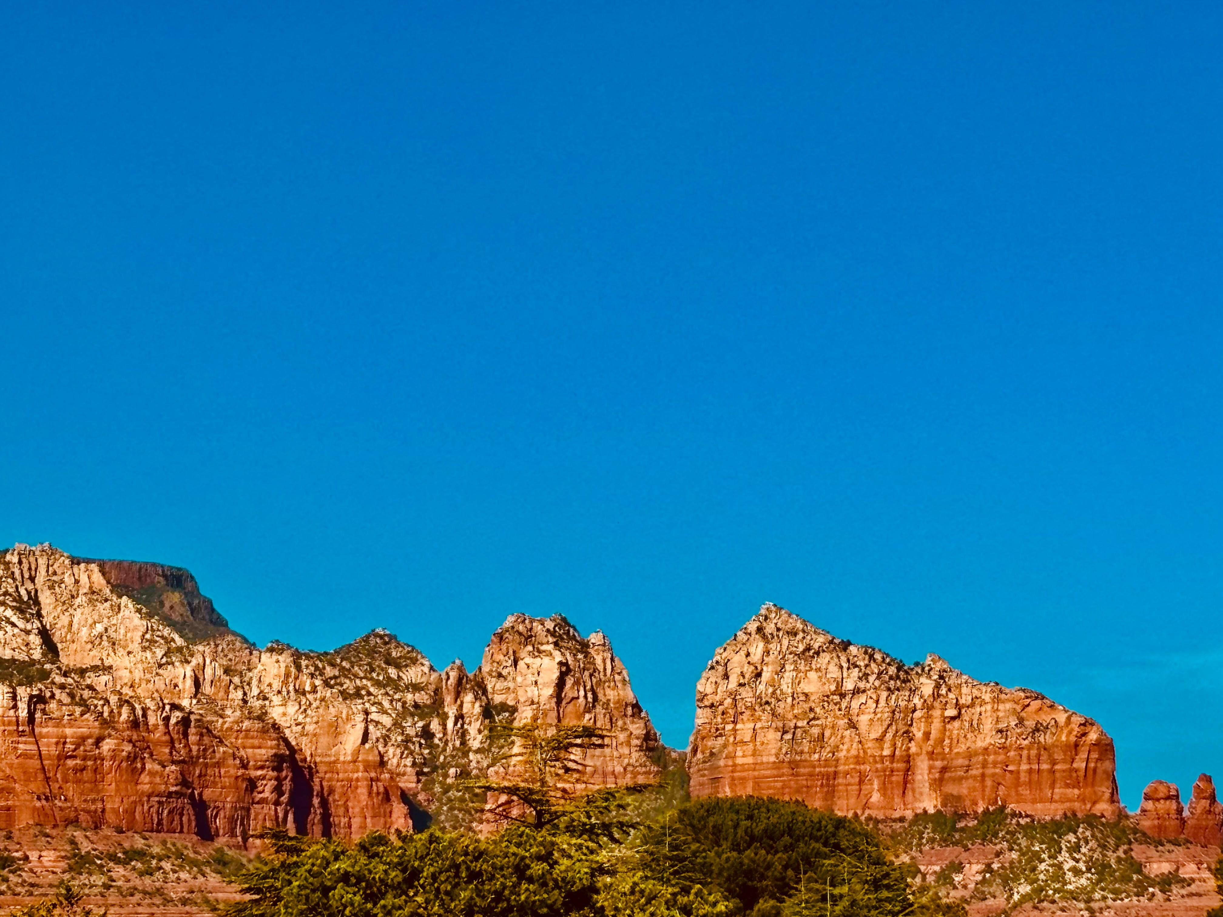 View from the backyard