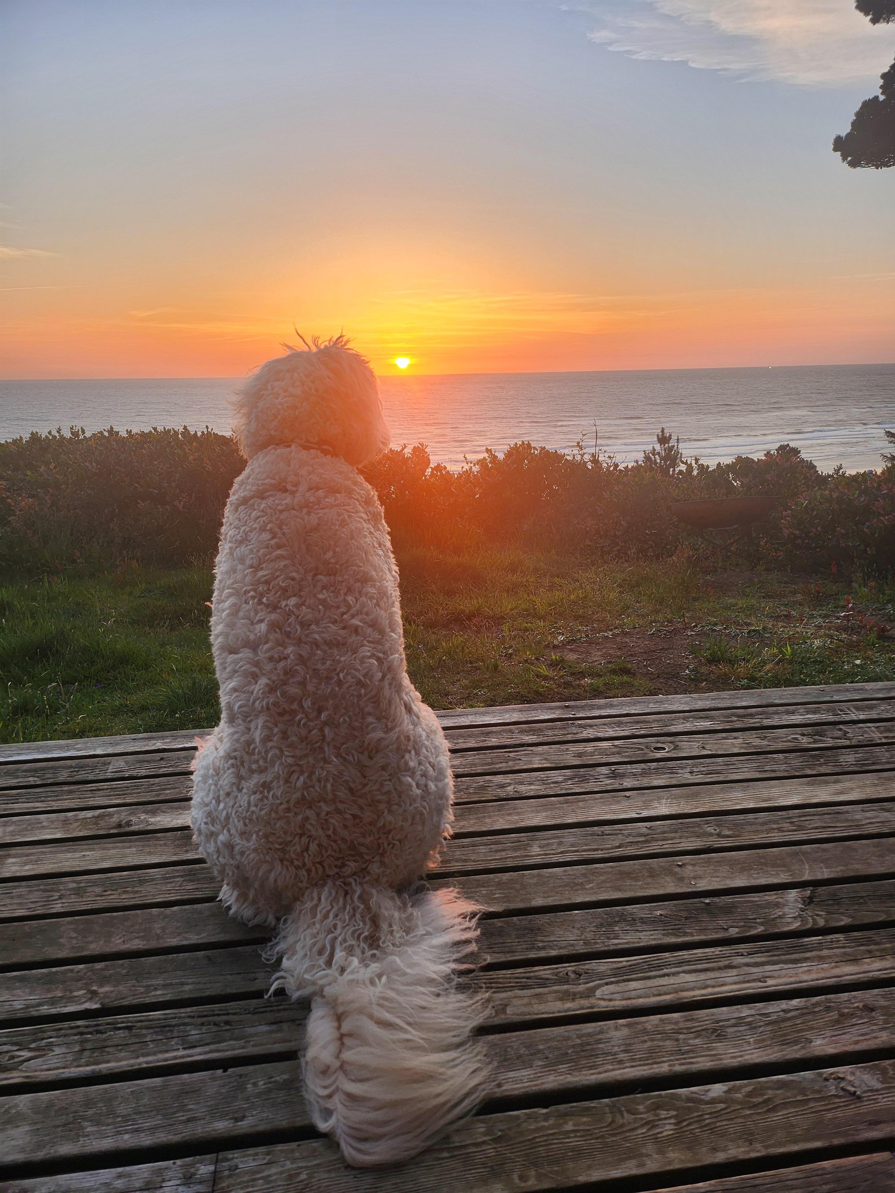 Sunset from deck 