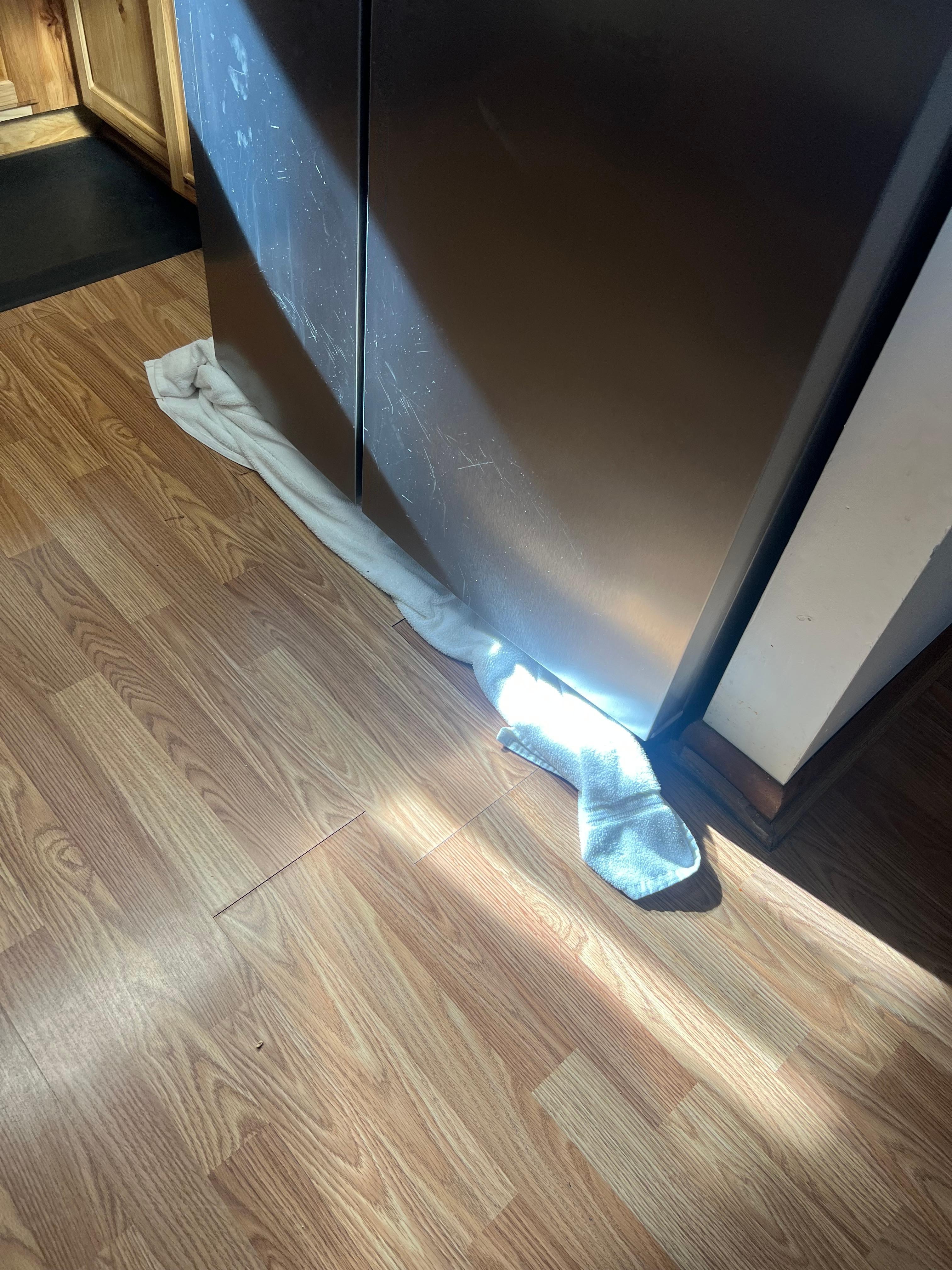 Leak on fridge 