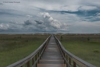 Boardwalk to the beach