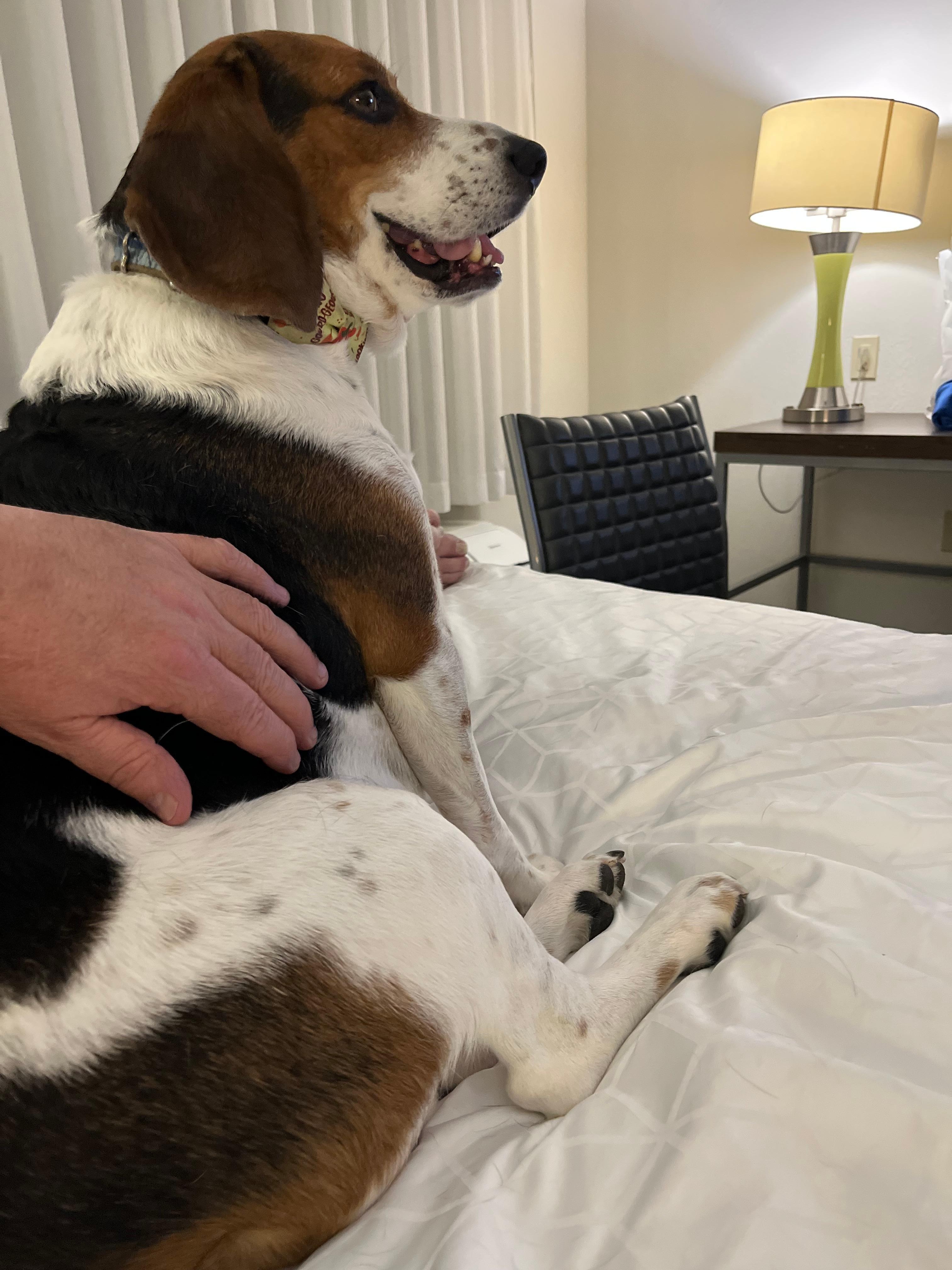 Walter thought he room was perfect 