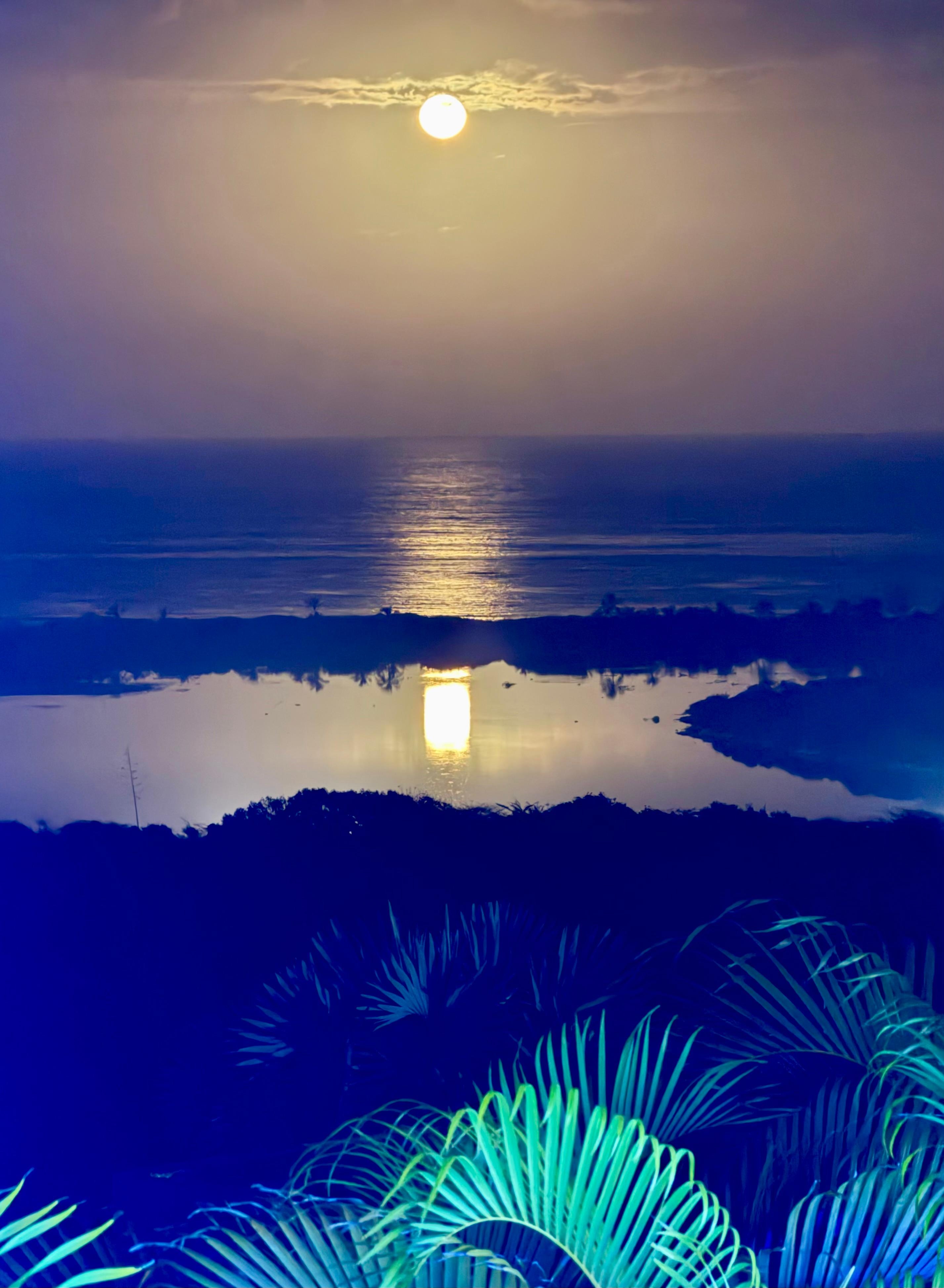 Moonrise - view from the patio.
