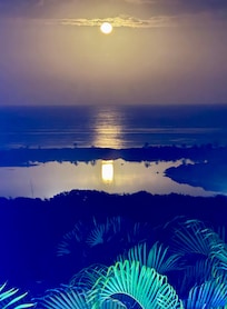 Moonrise - view from the patio.
