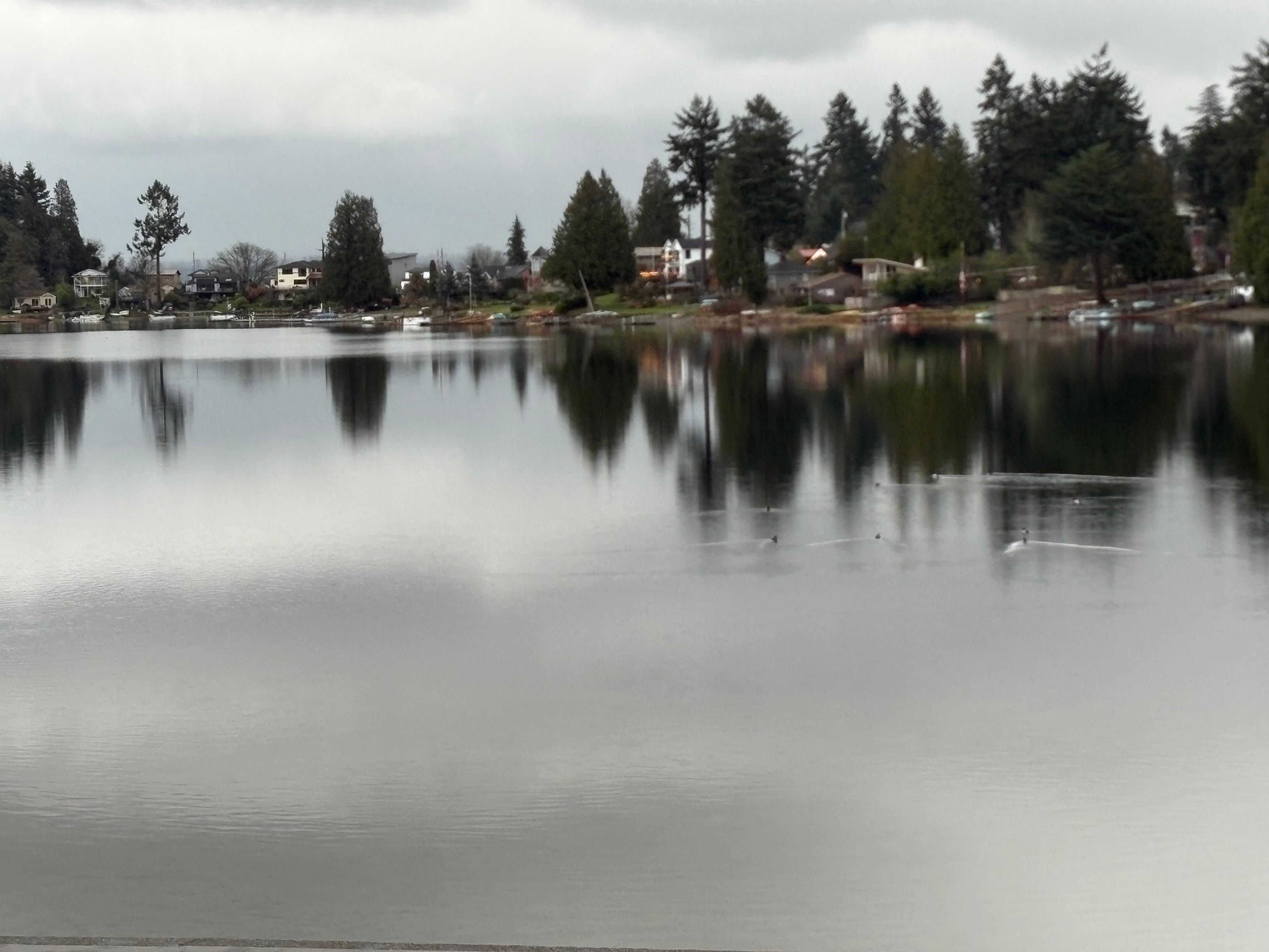 Mirrored reflection of Angle Lake a 5 minute walk