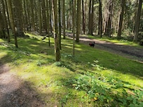 Waldspaziergang