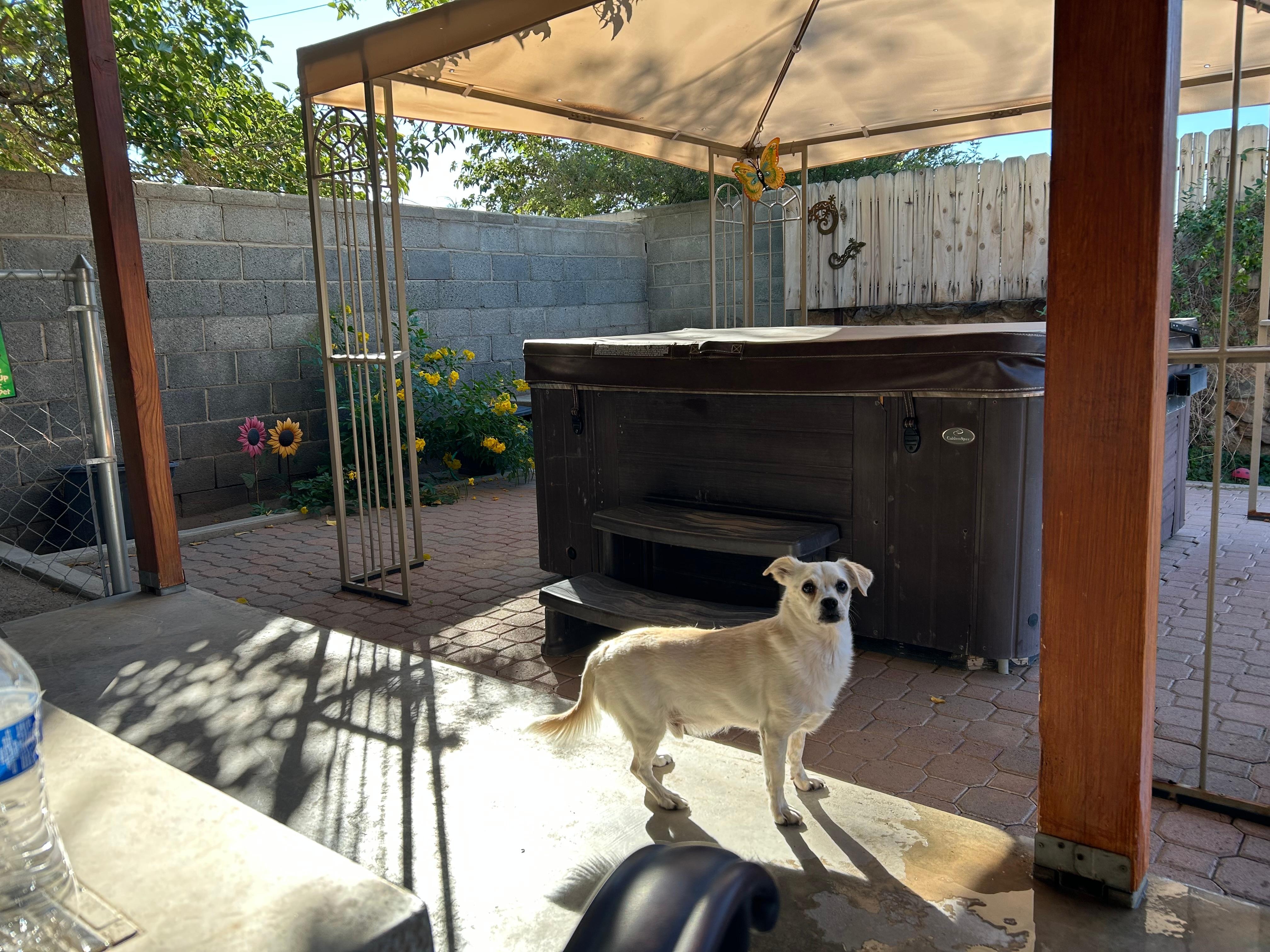 It was super pet friendly especially for our senior dog who has trouble getting around sometimes. 