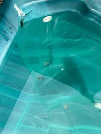 Filthy hot tub cleaned with bleach that caused an itchy rash