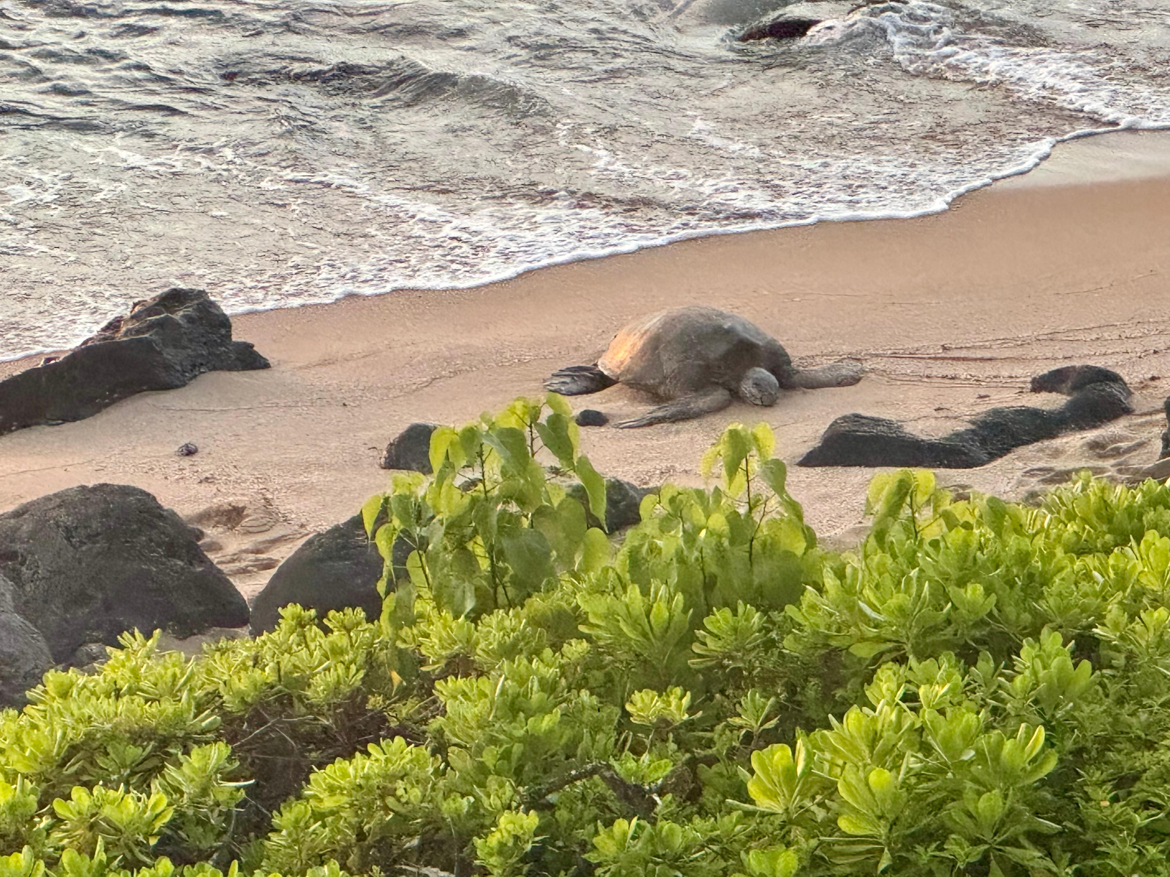 View from the balcony 