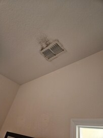 Mold in air vents