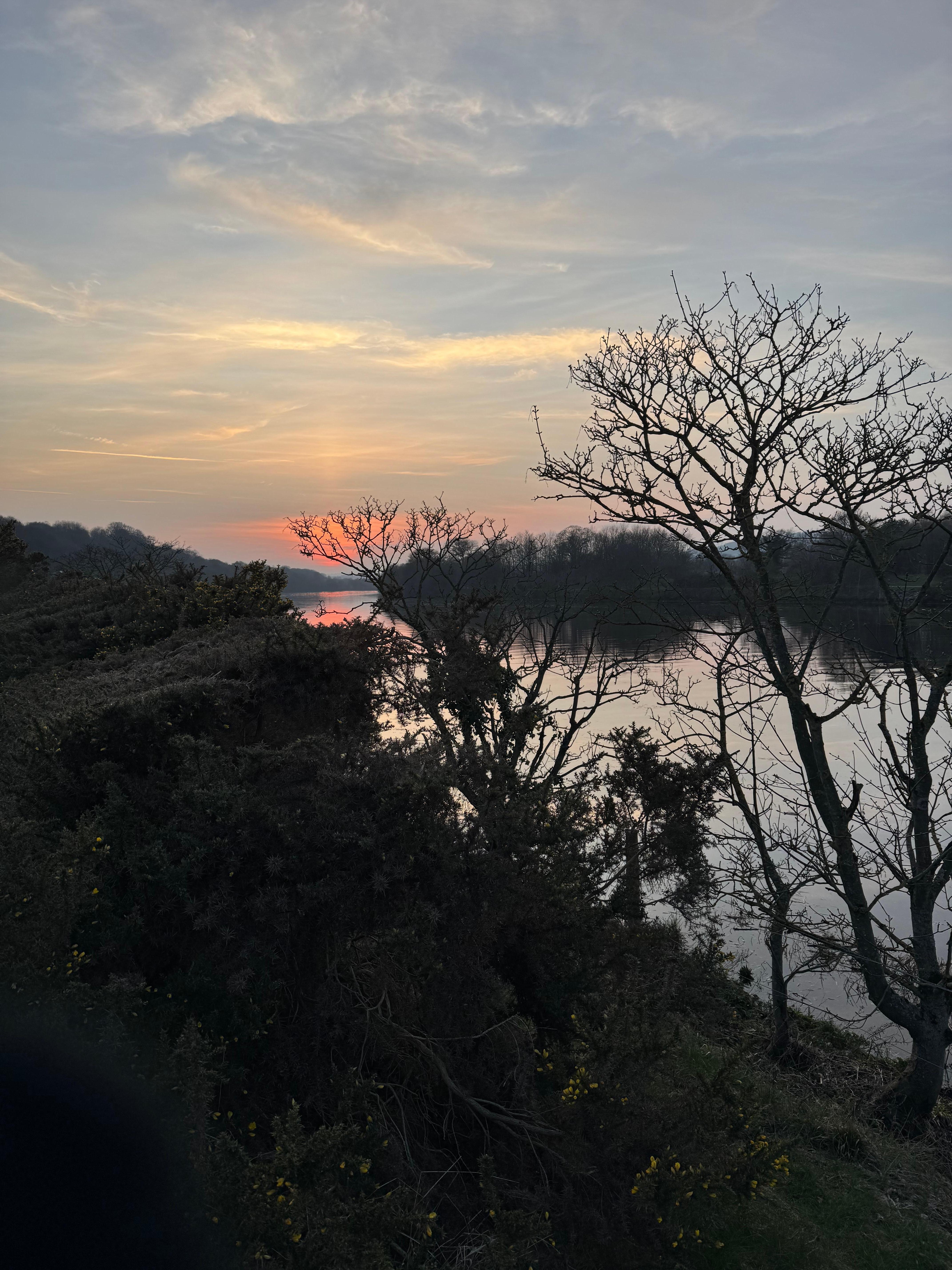 The river Tyne, at its more a rural and pleasant. 