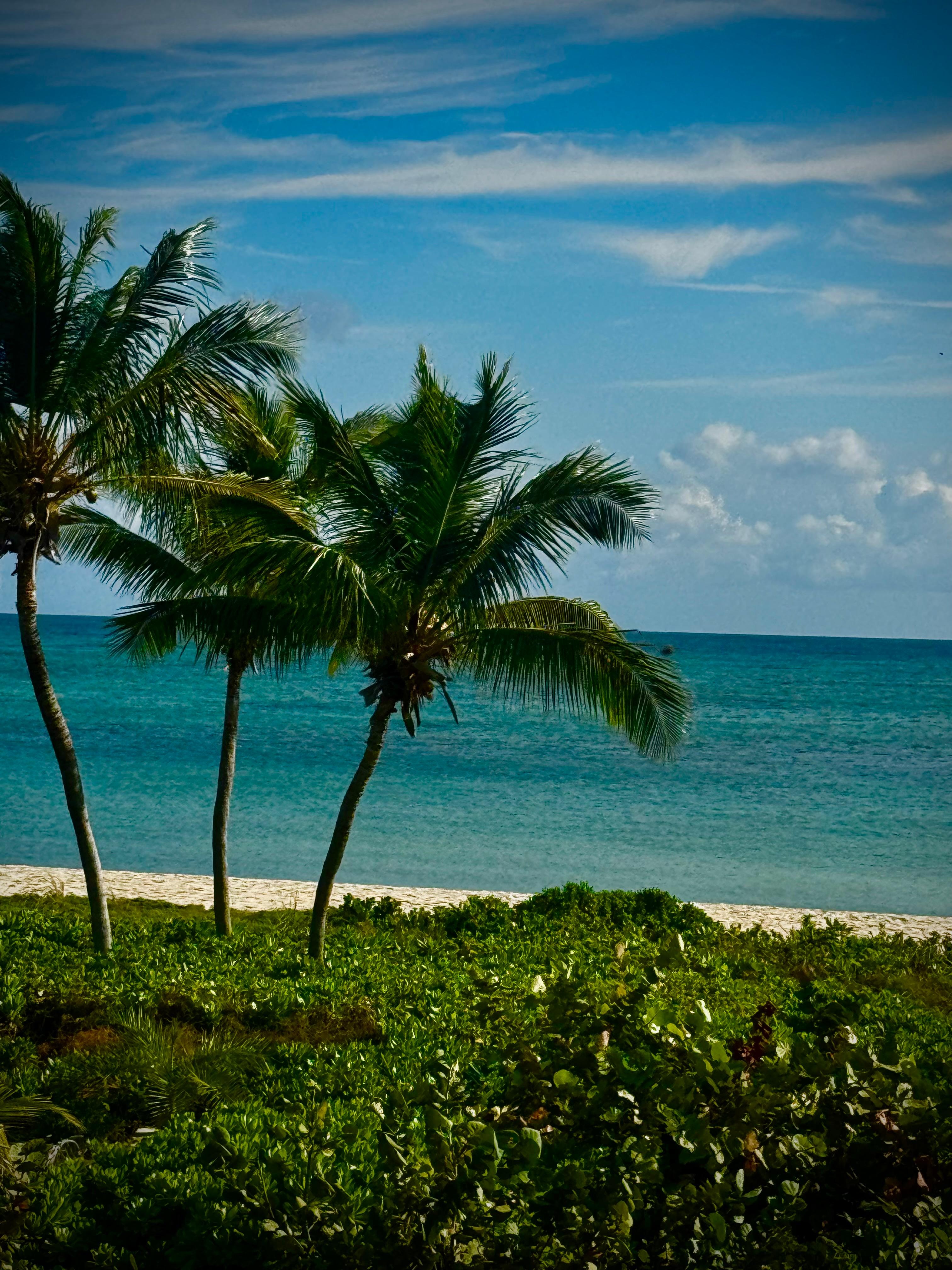 Beautiful view from deck!