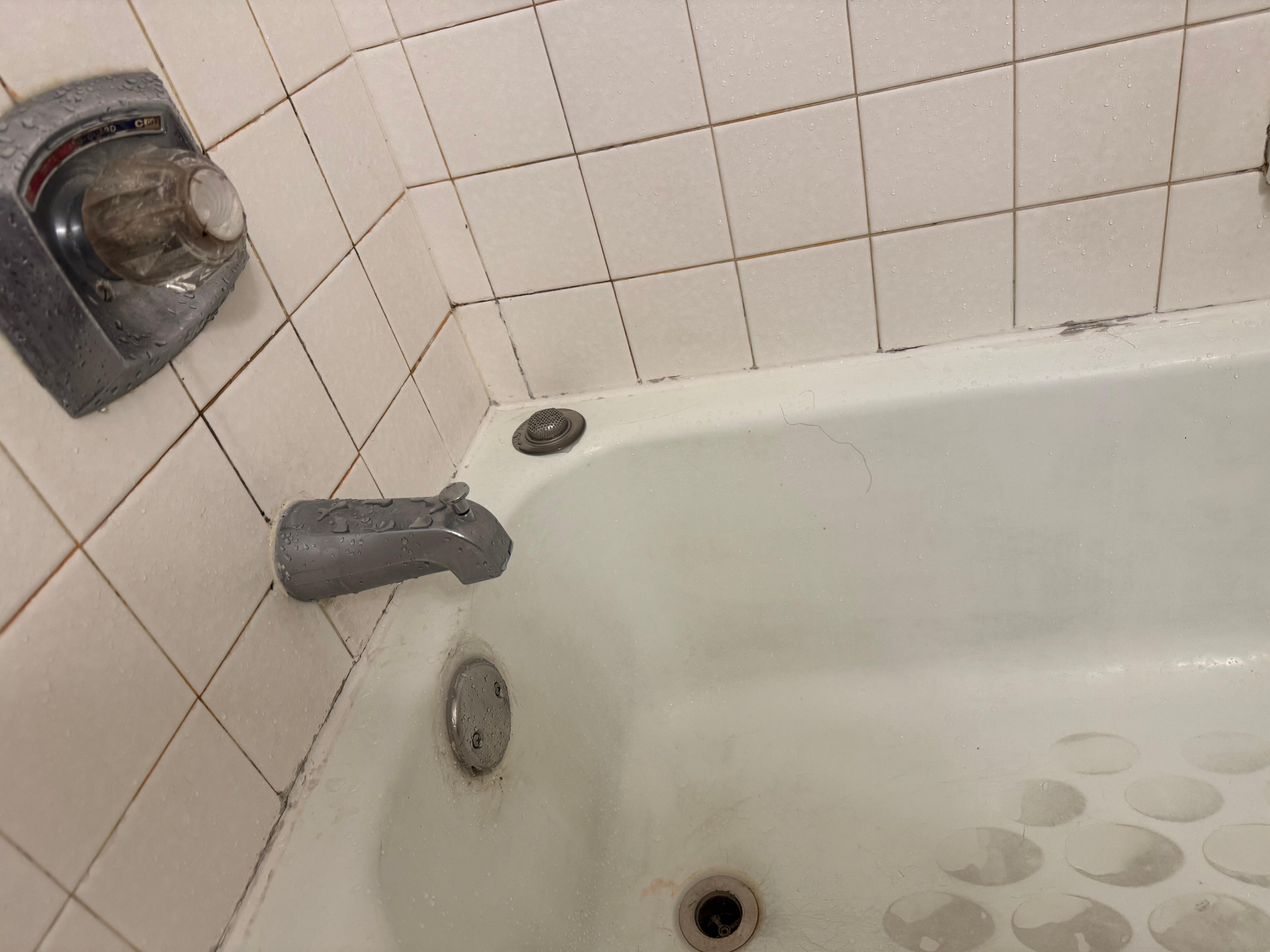 Mildew ridden tub/shower.