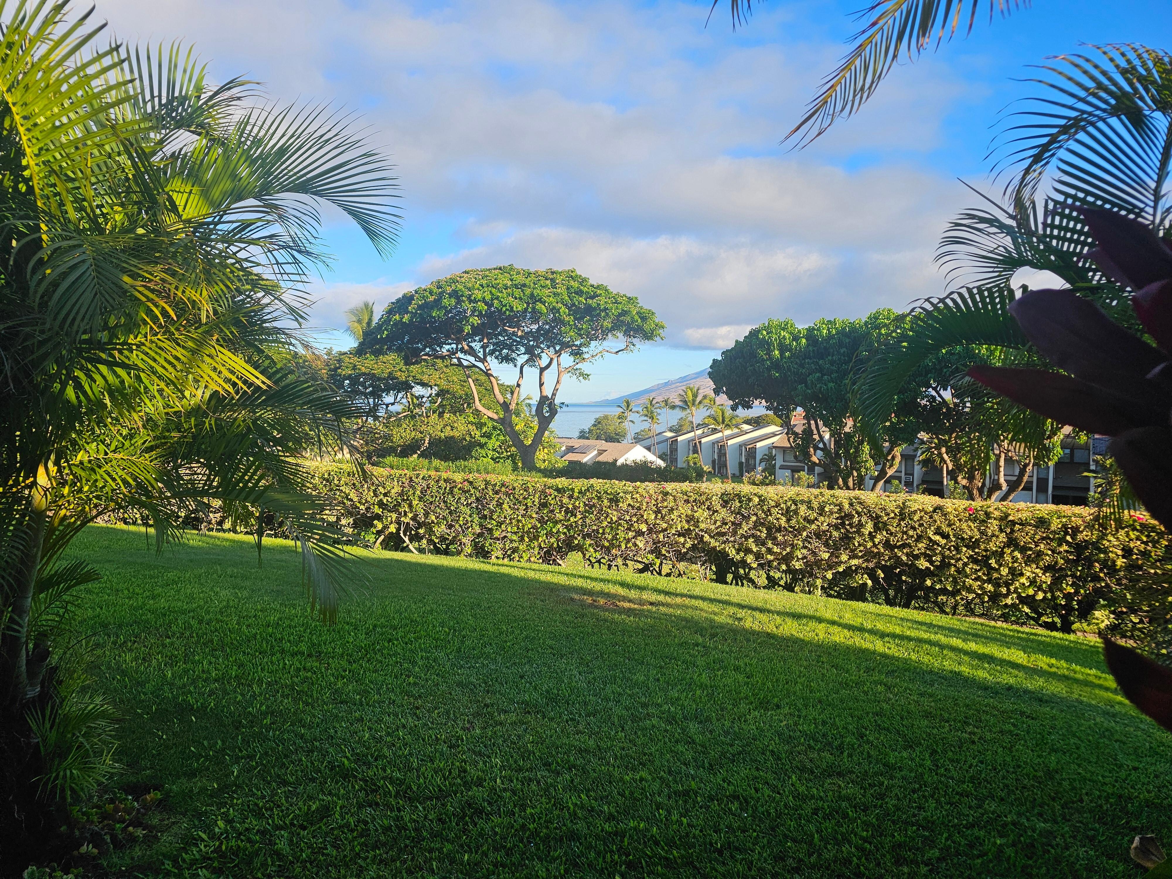 The view from the lanai.
