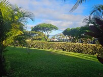 The view from the lanai.