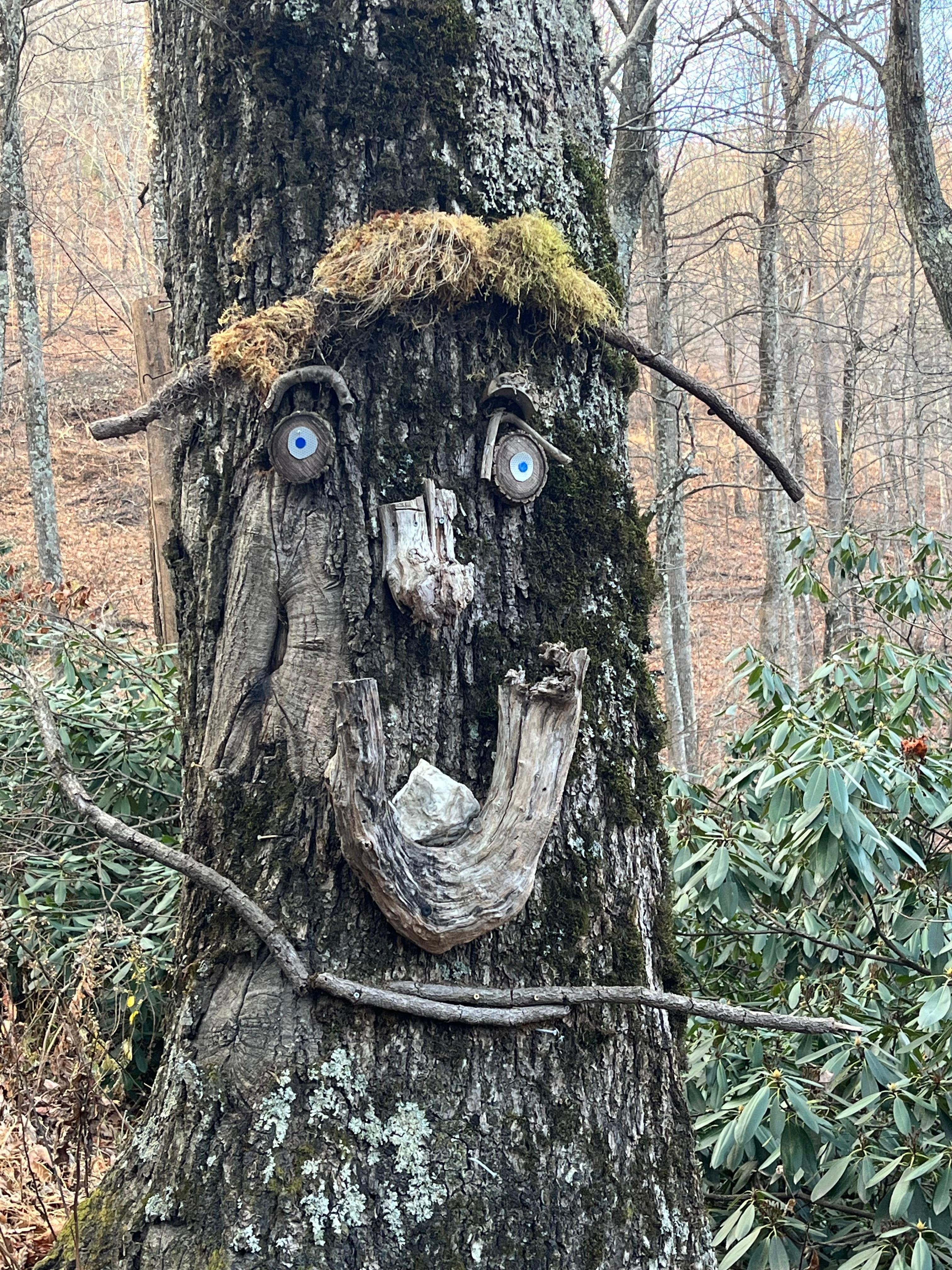 Funny ‘tree trolls’ on way to and from house. 