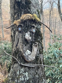 Funny ‘tree trolls’ on way to and from house.